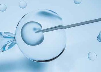 时间——去泰国nic医院做试管婴儿大概多久