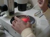 美国试管周期全解析：2026年详细流程指南