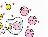 6bc囊胚解冻复苏成功率，高不高看完自有答案